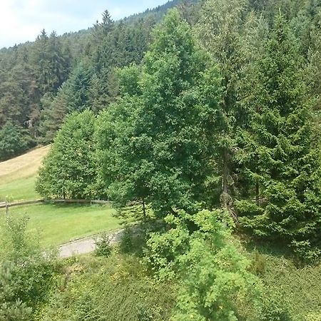 Apartmán Waldblick Tonbach Baiersbronn Pokoj fotografie