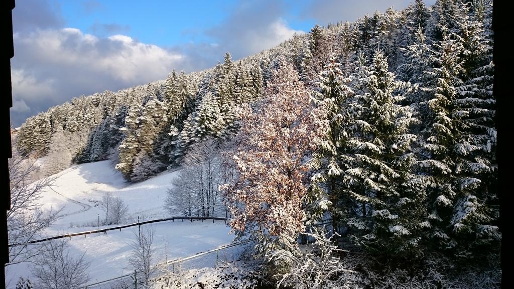 Apartmán Waldblick Tonbach Baiersbronn Pokoj fotografie
