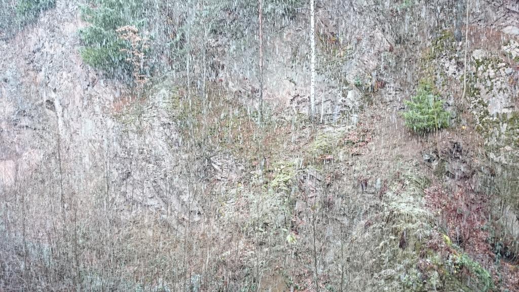 Apartmán Waldblick Tonbach Baiersbronn Pokoj fotografie