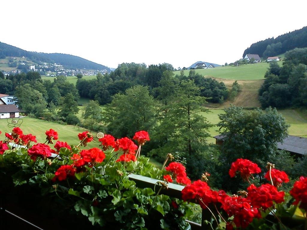 Apartmán Waldblick Tonbach Baiersbronn Pokoj fotografie